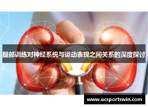 腿部训练对神经系统与运动表现之间关系的深度探讨