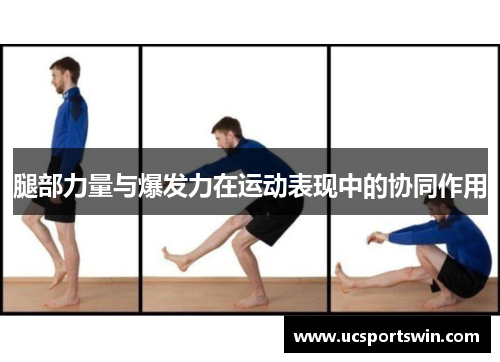 腿部力量与爆发力在运动表现中的协同作用